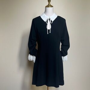 Cinq à Sept Savina Dress Black Ivory Size 8 | NWT| Silk Collar Lace Trim Dress